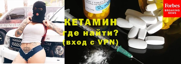 шишки Новозыбков