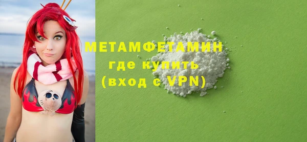 сатива Новодвинск