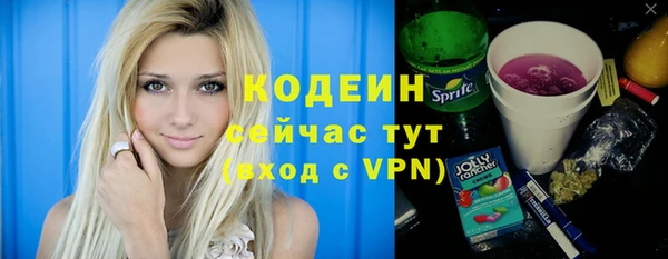 сатива Новодвинск
