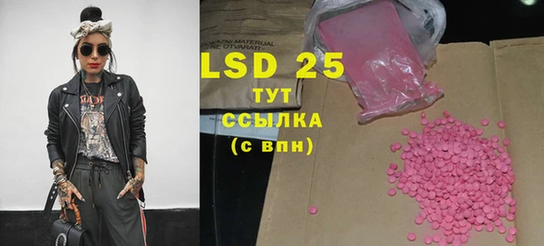 сатива Новодвинск