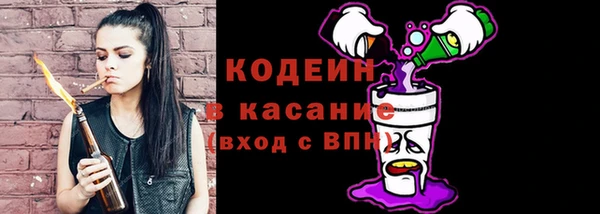 сатива Новодвинск