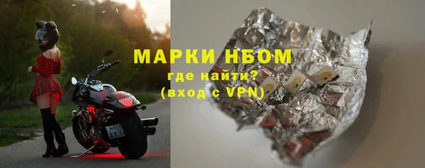 шишки Новозыбков