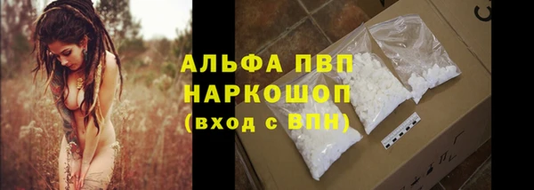 сатива Новодвинск