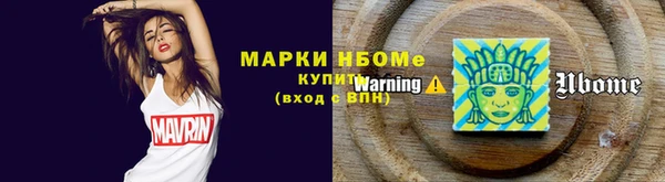 сатива Новодвинск