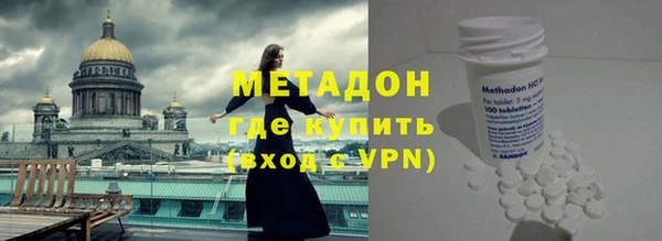 сатива Новодвинск