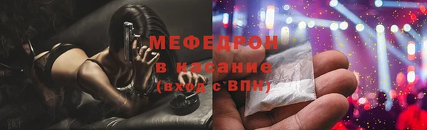 сатива Новодвинск
