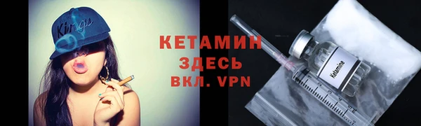 сатива Новодвинск