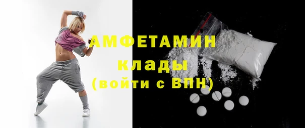 шишки Новозыбков