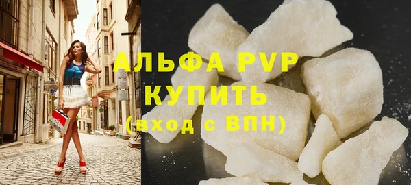 сатива Новодвинск