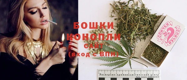 сатива Новодвинск