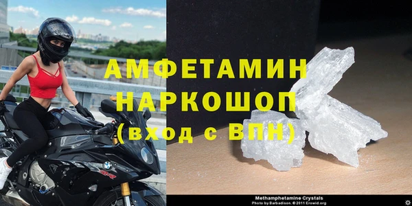 шишки Новозыбков