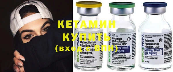 шишки Новозыбков